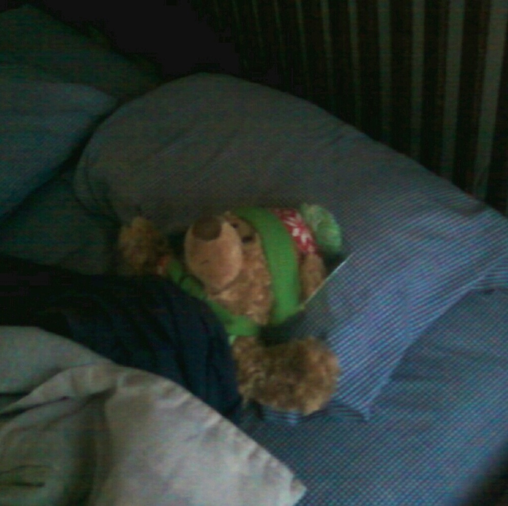 Meet your Posher, Myeaser